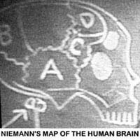 Niemann’s map of the human brain